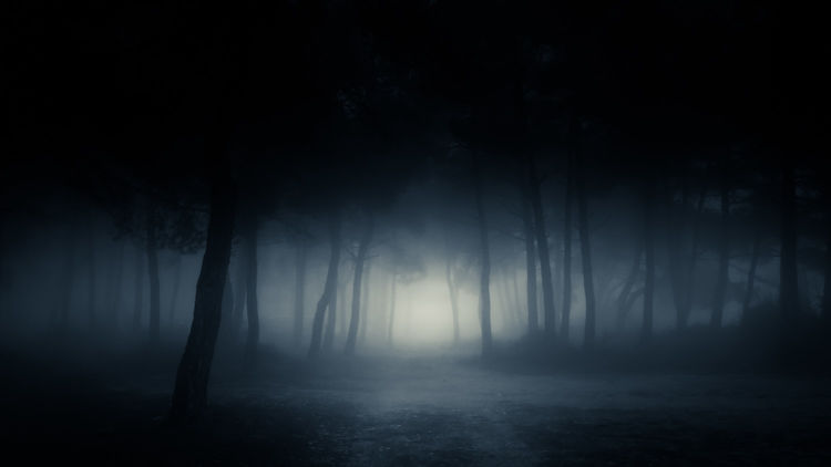 A dark, foggy forest at night, with an eerie light at the end of a dirt path